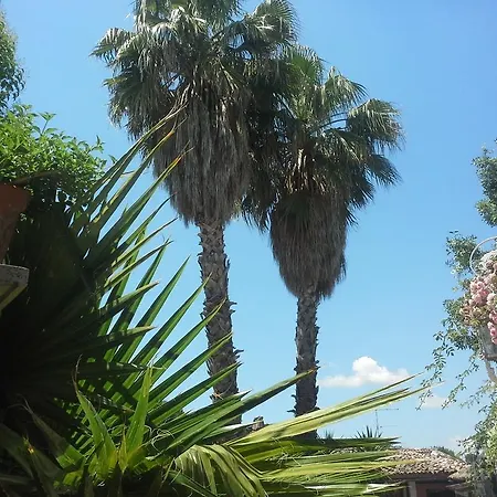 شقة فندقية Relais Michelangelo